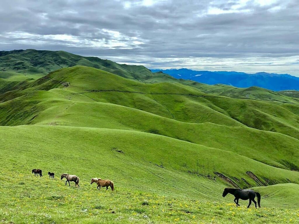Beautiful-Landscape-of-Badimalika