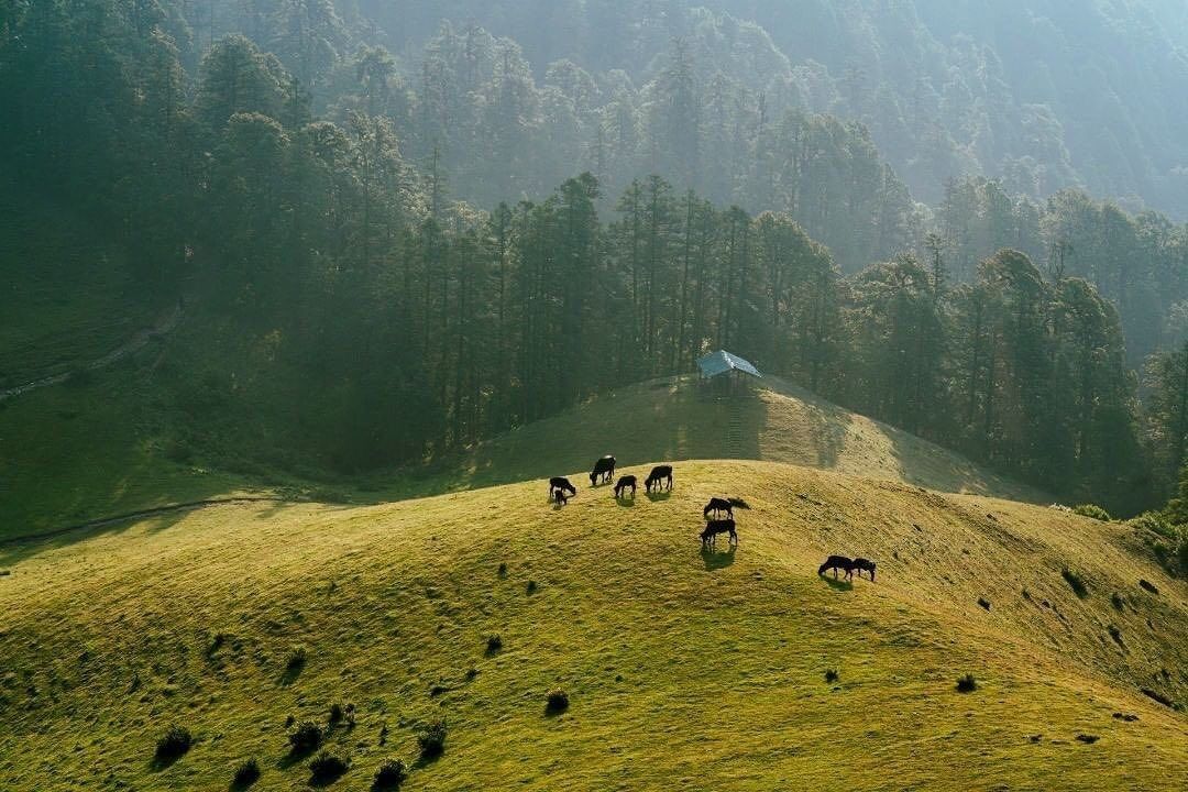 Khaptad National Park - 7 days Itinerary - YTROT