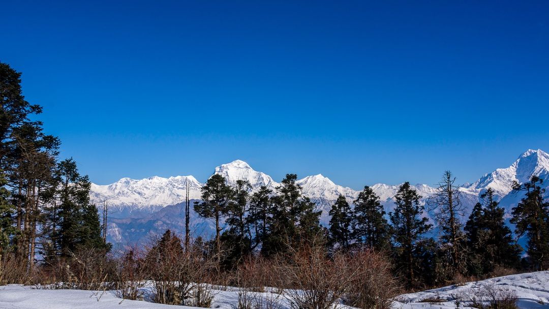 Mohare Danda Trek